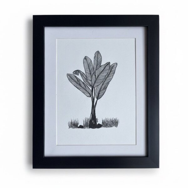 Banana Palm Line Art