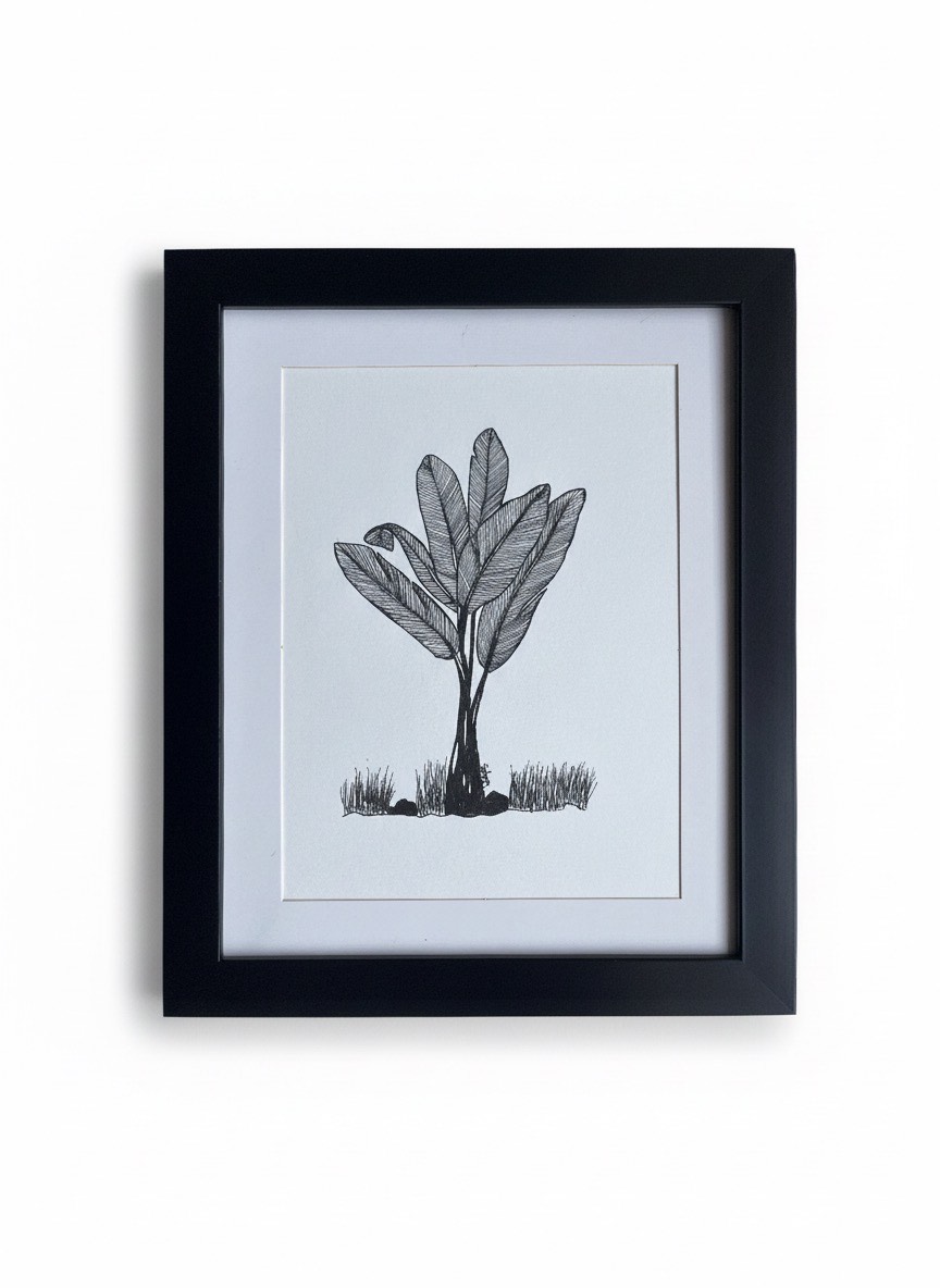 Banana Palm Line Art