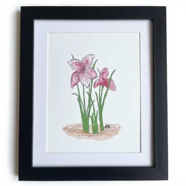Pink Lily Art Print