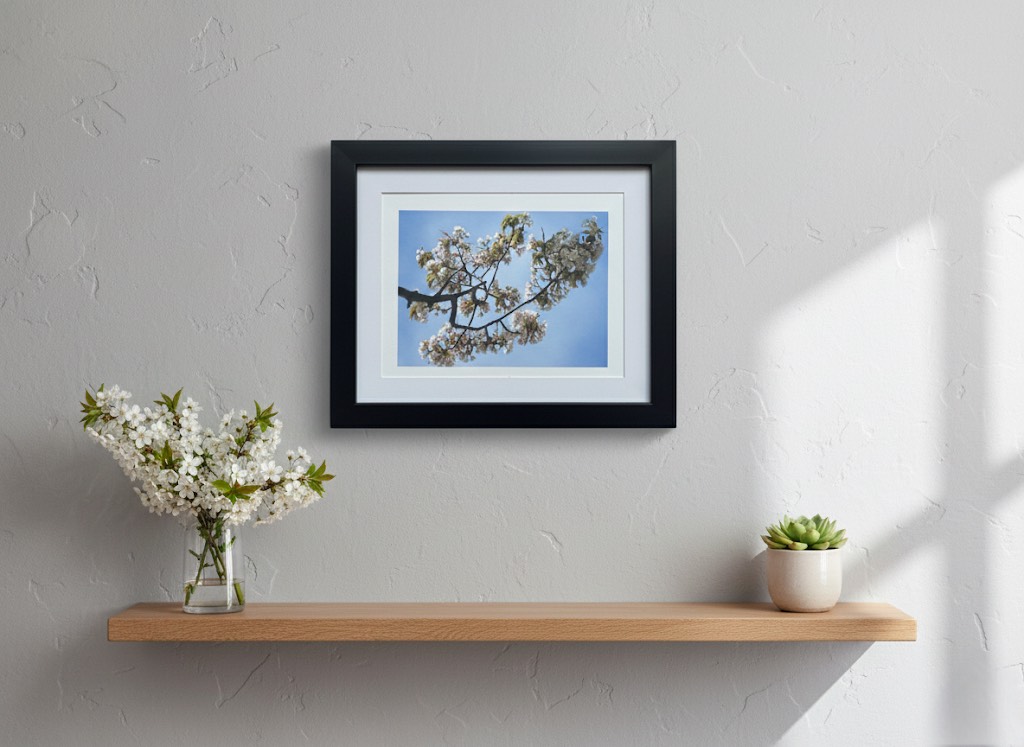 White Cherry Blossom - Image 2